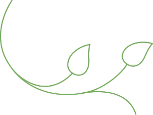 leaf image