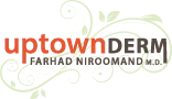 site logo
